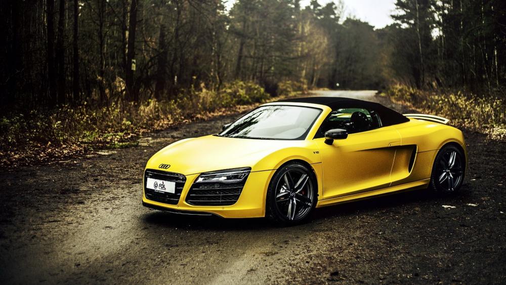 Golden Audi R8 Spyder Wilderness Drive wallpaper