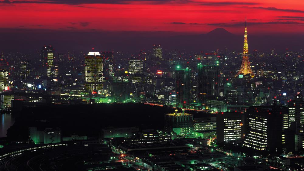 Tokyo Skyline at Dusk wallpaper