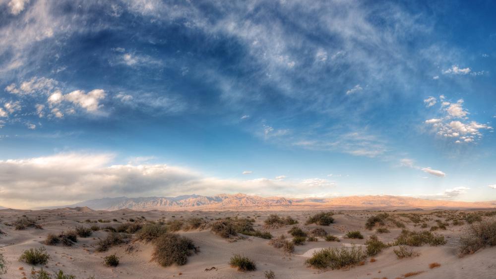 Desert Serenity Under Vast Skies wallpaper