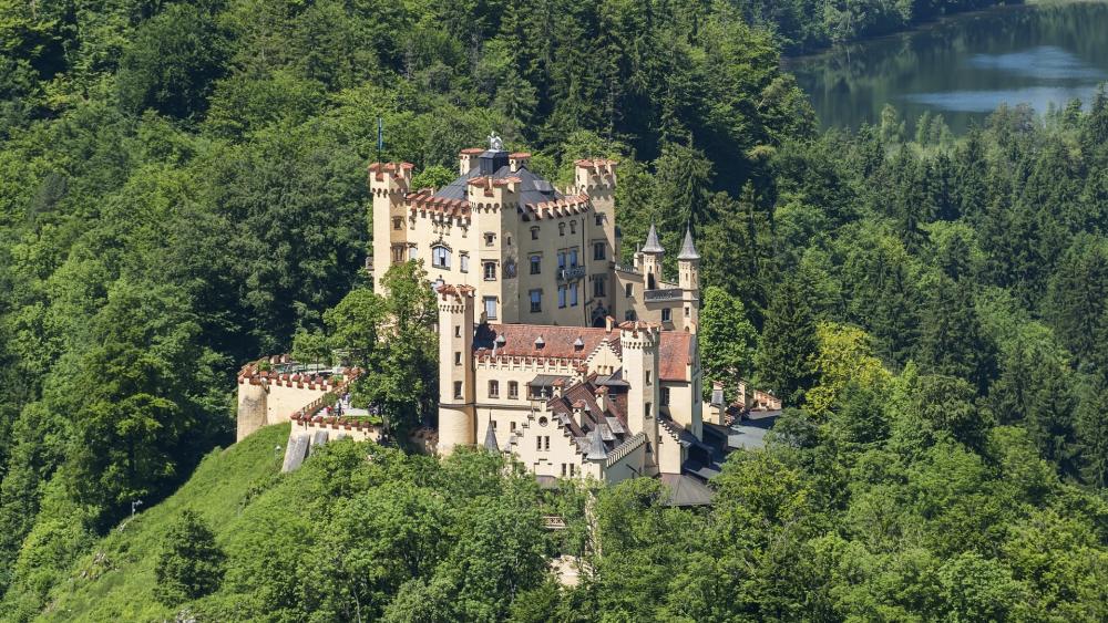 Hohenschwangau Castle in Lush Greenery wallpaper