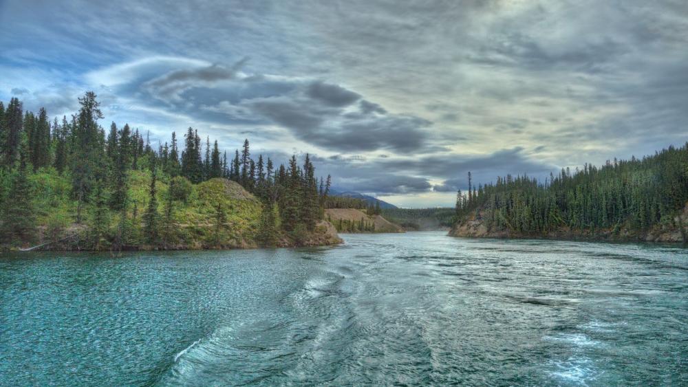 Yukon River Serenity in Nature's Embrace wallpaper