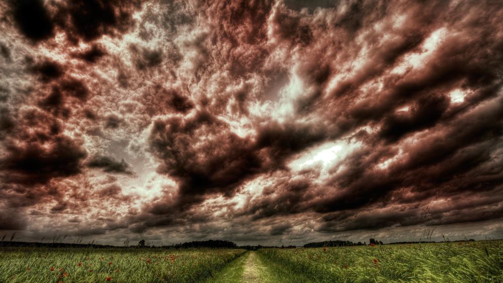 Pathway Through a Dramatic Sky wallpaper