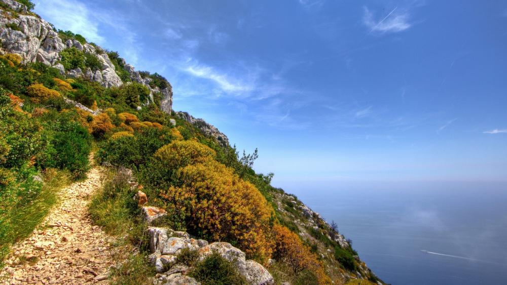 Mountain Trail Overlooking Serene Ocean Vista wallpaper