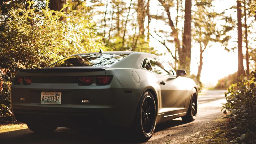 Chevy Camaro in a Woodland Escape wallpaper