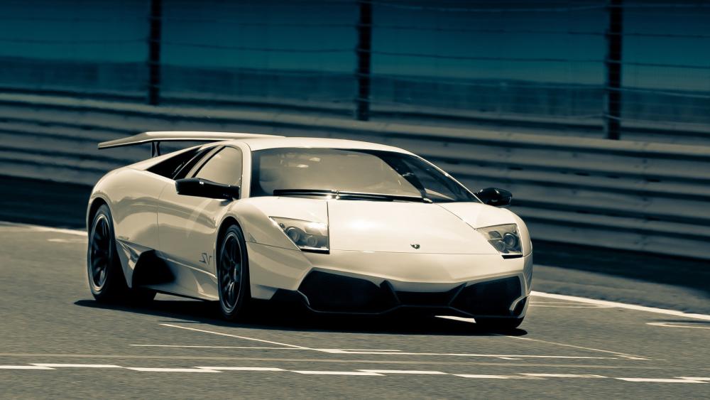 Lamborghini Murcielago on the Racetrack wallpaper