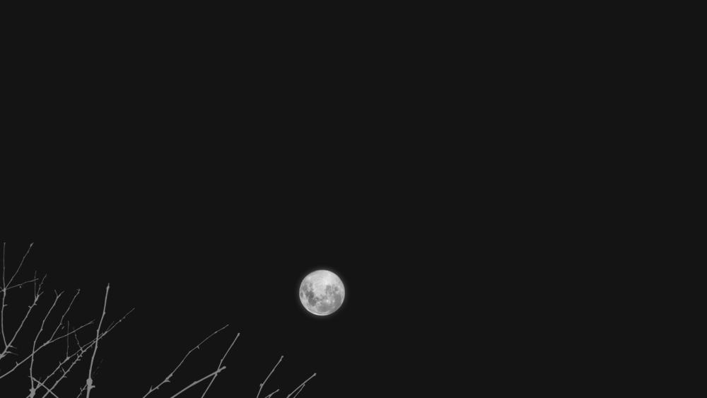 Full Moon in Tranquil Night Sky wallpaper