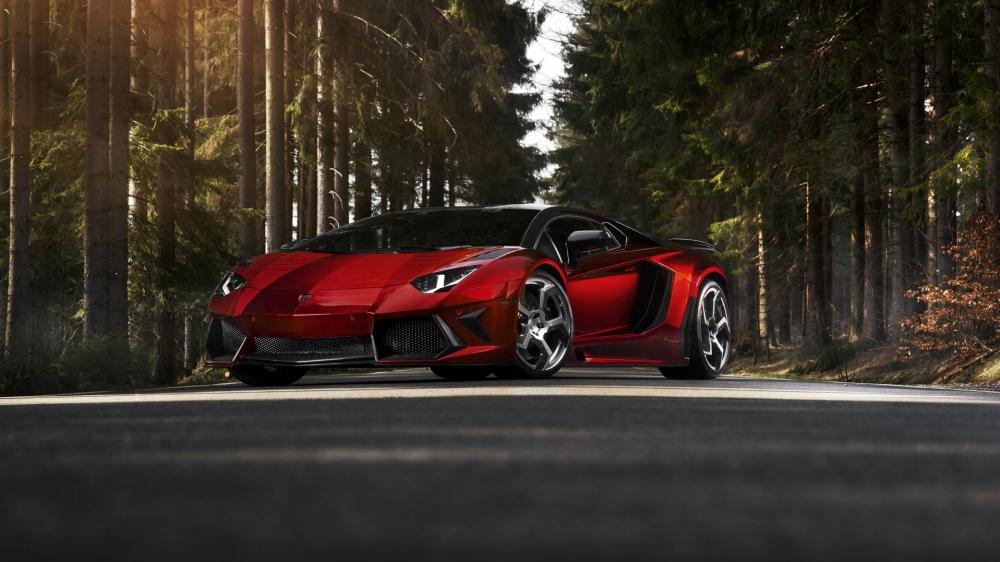 Lamborghini Aventador in a Forest Drive wallpaper