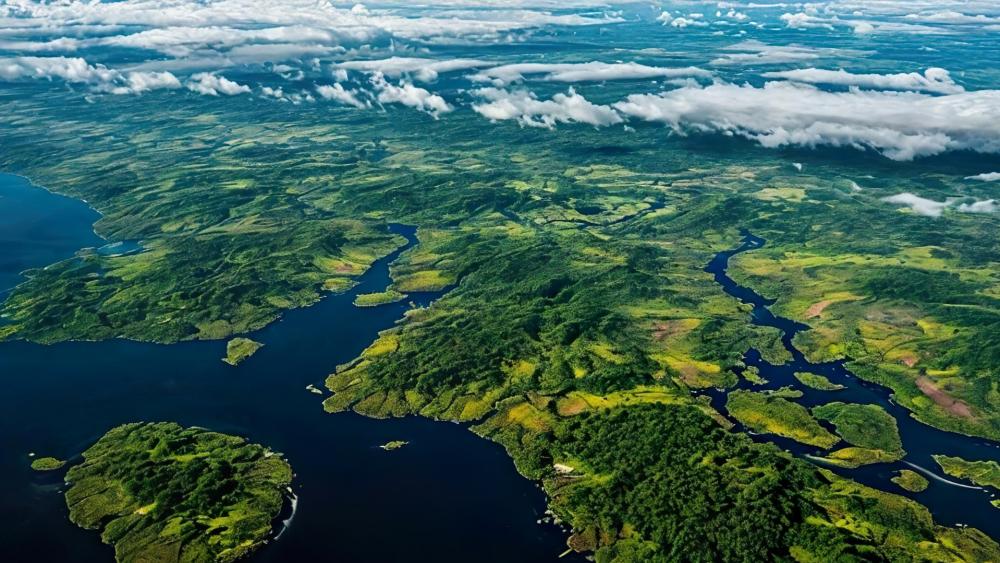 Aerial Harmony of Green and Blue wallpaper