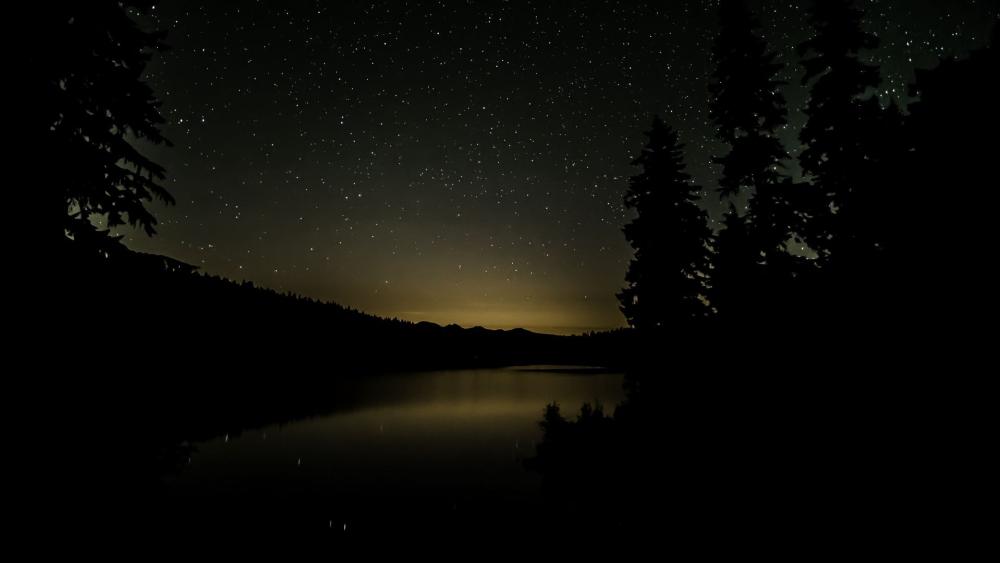 Starry Night Over Tranquil Lake wallpaper