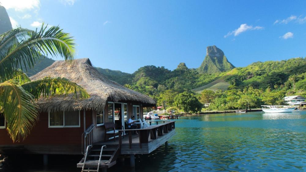 Tropical Paradise in Moorea's Overwater Retreats wallpaper