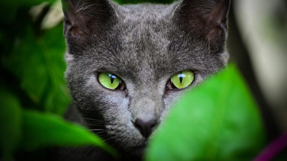 Enigmatic Green Gaze in the Greenery wallpaper