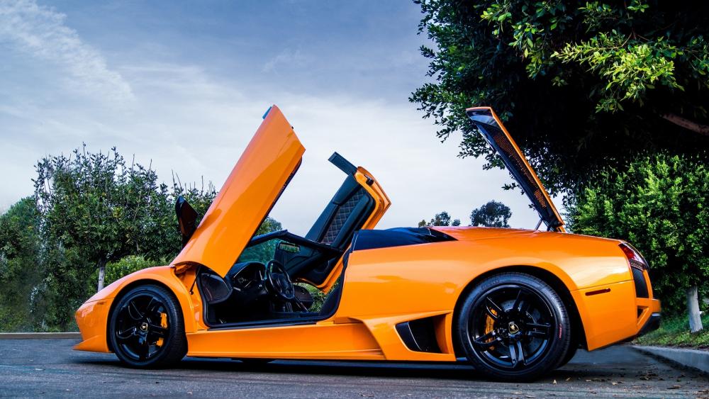 Lamborghini Murcielago LP640 in Vibrant Orange wallpaper