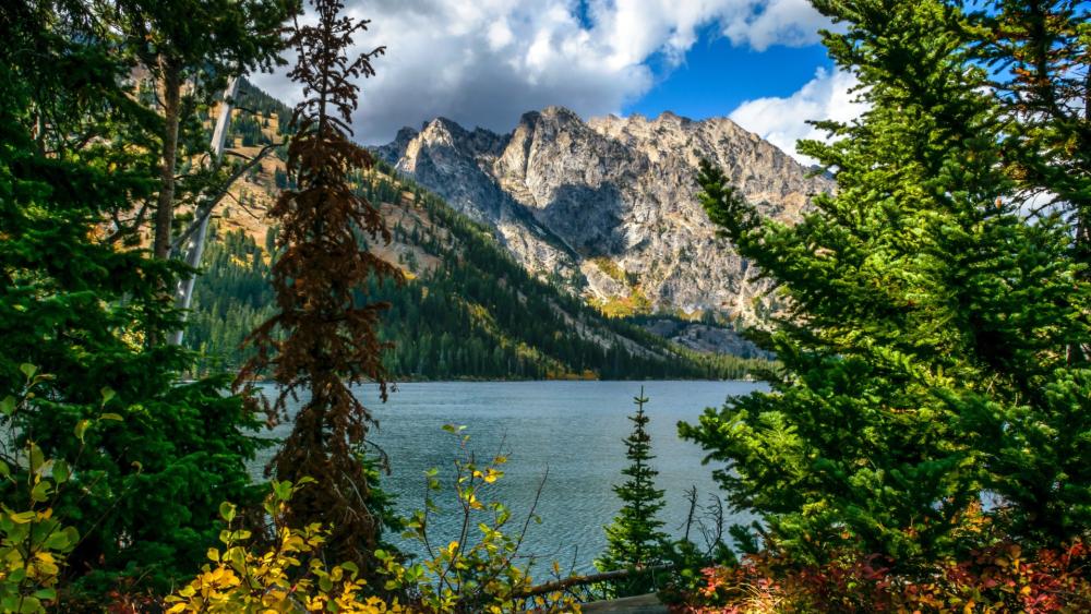 Grand Teton Tranquility at Jenny Lake wallpaper