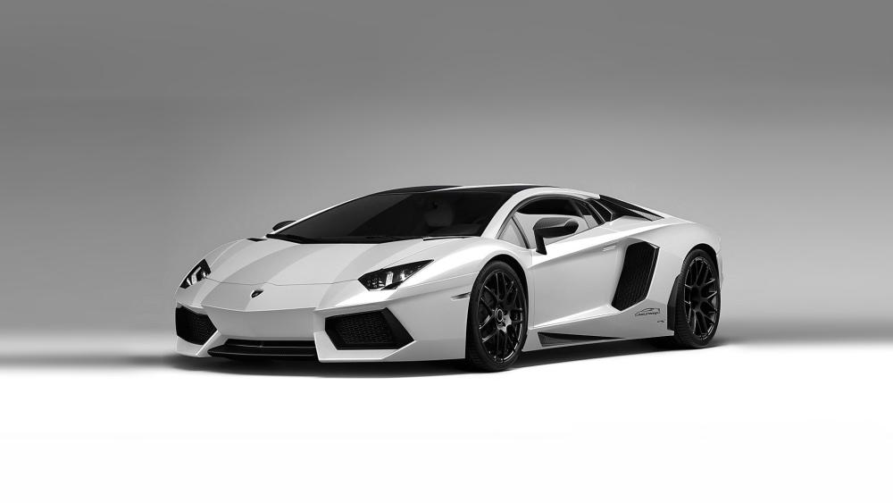 White Lamborghini Aventador Elegance wallpaper