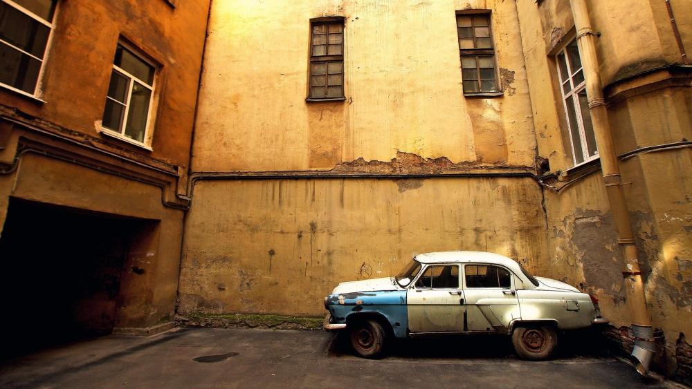 Timeless Beauty Amidst Urban Decay wallpaper