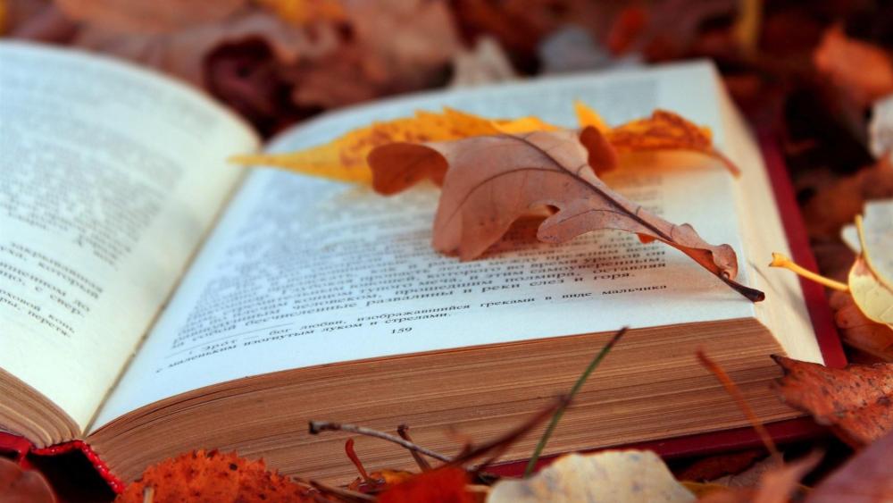 Autumn Story on a Leafy Bed wallpaper