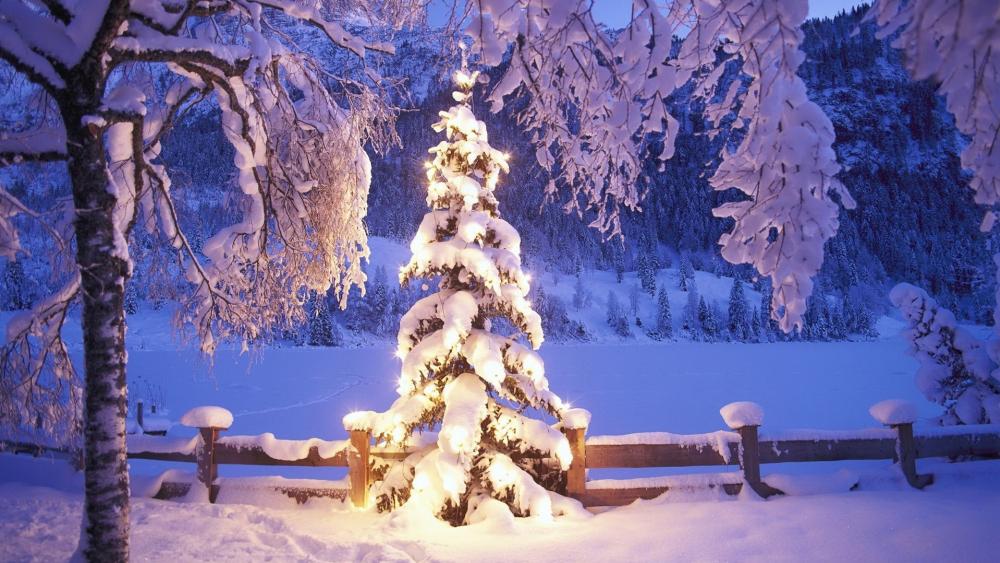 Magical Winter Wonderland Christmas Scene wallpaper