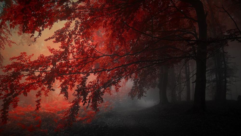 Enchanted Autumn Mist wallpaper