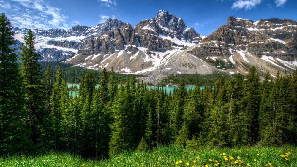 Majestic Rocky Mountain Splendor at Bow Lake wallpaper