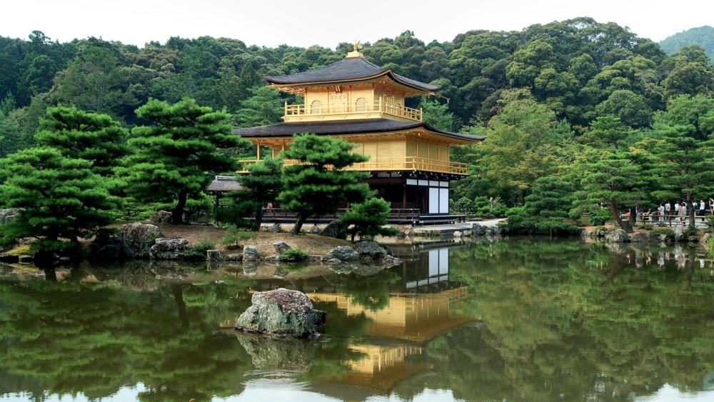 Golden Serenity at Kinkaku-ji Temple wallpaper