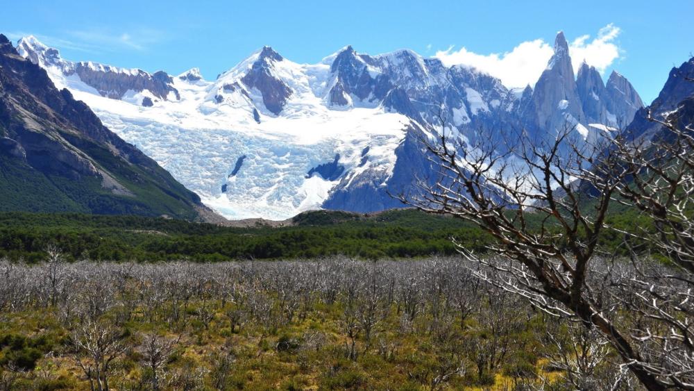 Majestic Snow-Capped Peaks Beneath Clear Skies wallpaper