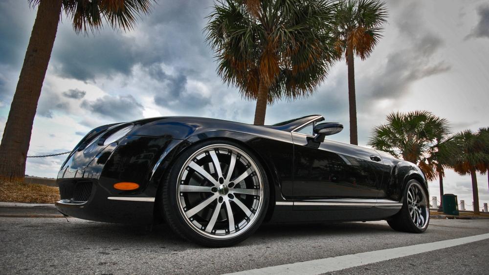 Luxurious Bentley Beneath Palm Trees wallpaper