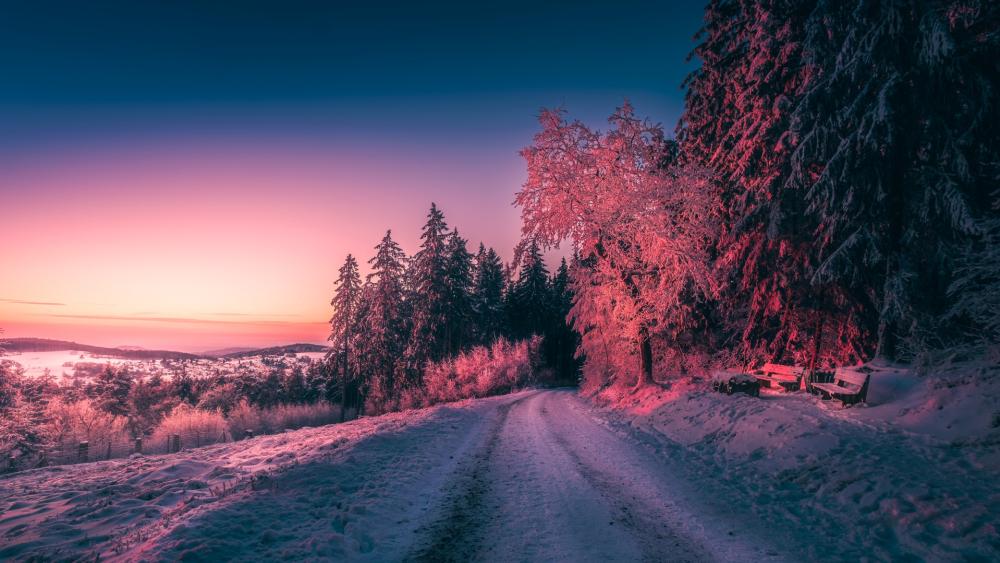 Winter Evening Serenity in the Forest wallpaper