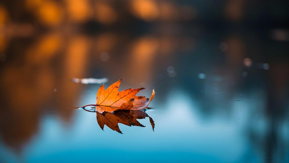 Floating Leaf wallpaper