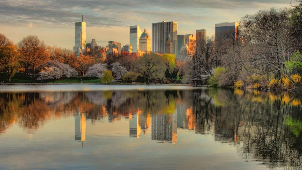 Central Park in Bloom with Cityscape Reflections wallpaper