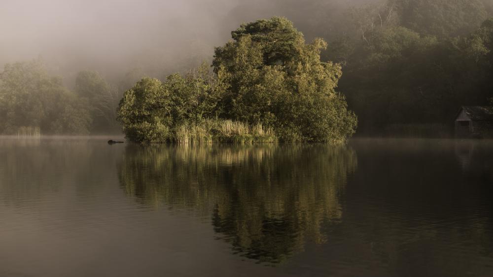 Mist-Enveloped Islet on a Serene Lake in 8K wallpaper