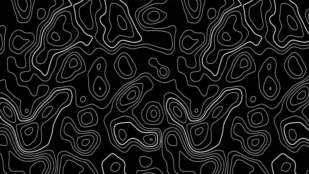 Abstract Topographic Monochrome Pattern Design wallpaper