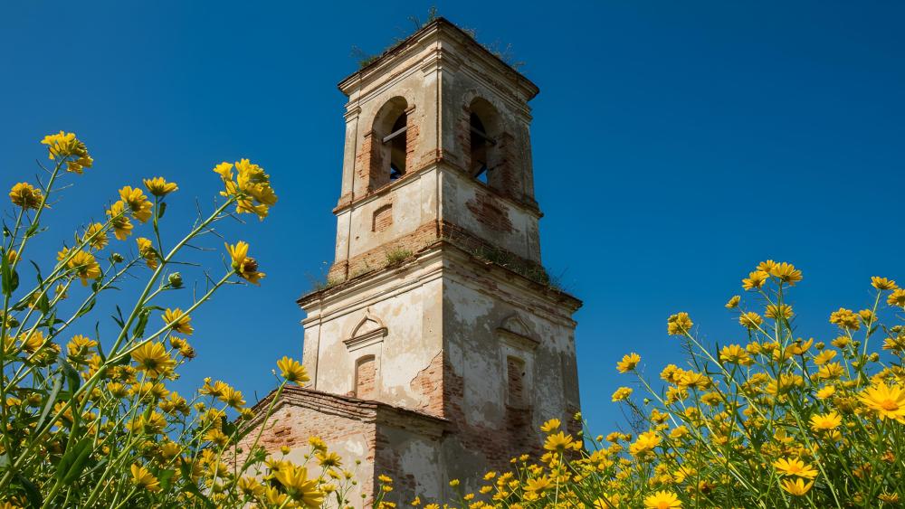 Echoes of Time: The Bell Tower's Floral Reverie wallpaper