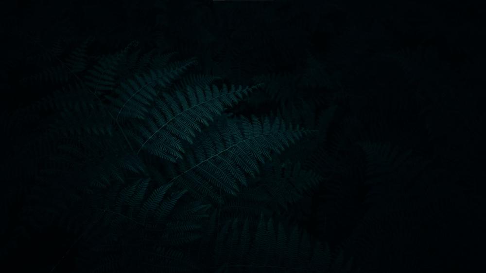 Enchanted Ferns in the Midnight Haze wallpaper