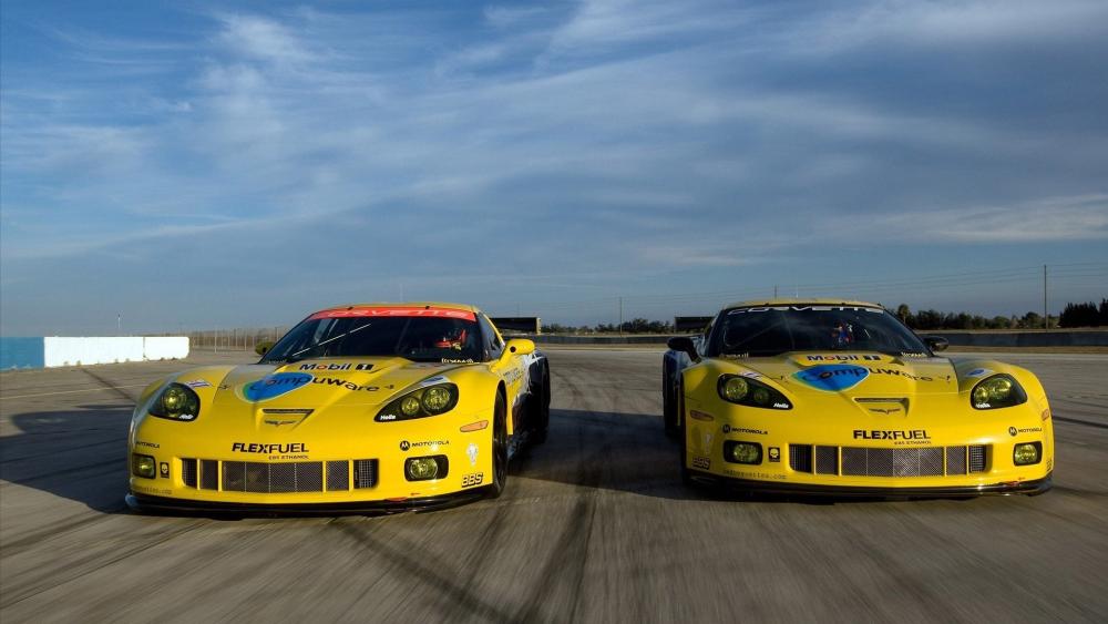 Chevrolet Corvette C6.R Racing Duo on Track wallpaper