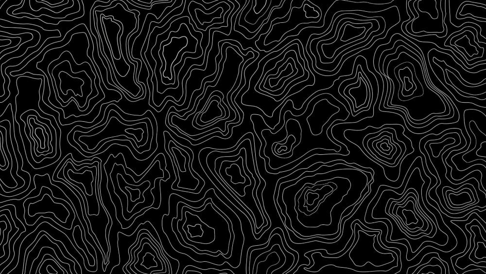 Abstract Monochrome Topographic Line Art wallpaper