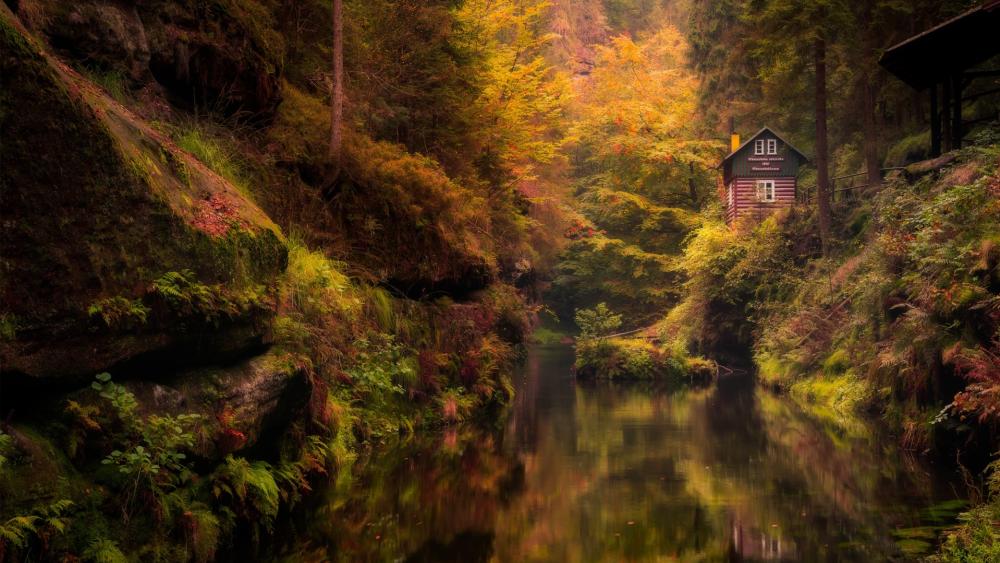 Tranquil Autumn Retreat by the River wallpaper