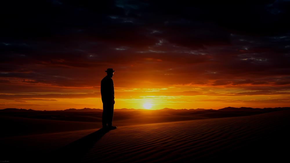 Sunset Silhouette in Desert Dusk wallpaper