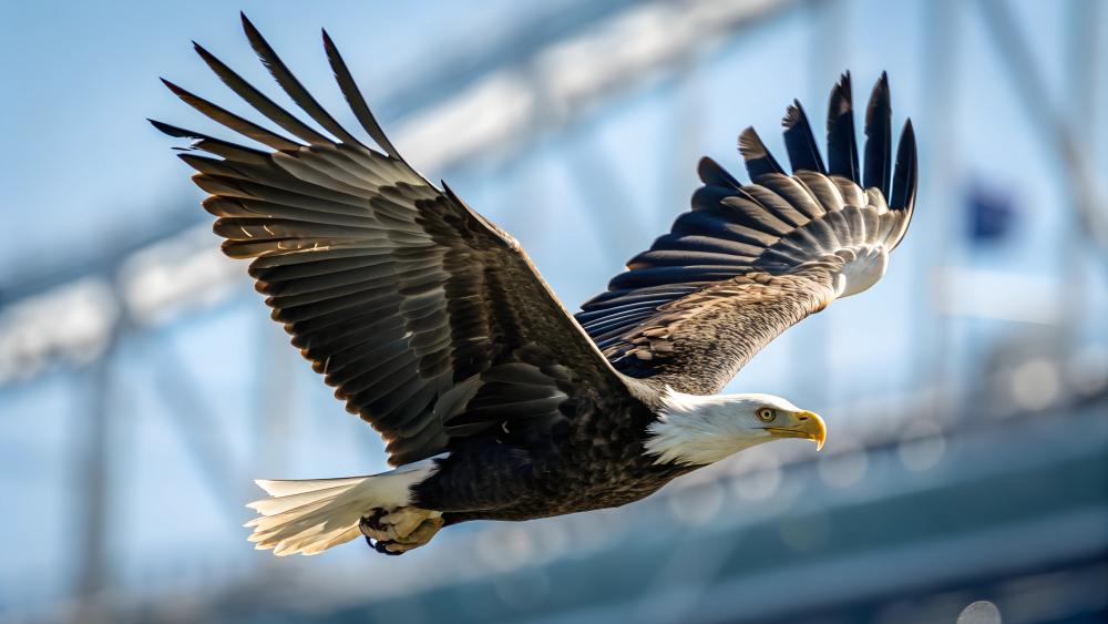 Majestic Eagle in Flight: AI Art Masterpiece wallpaper