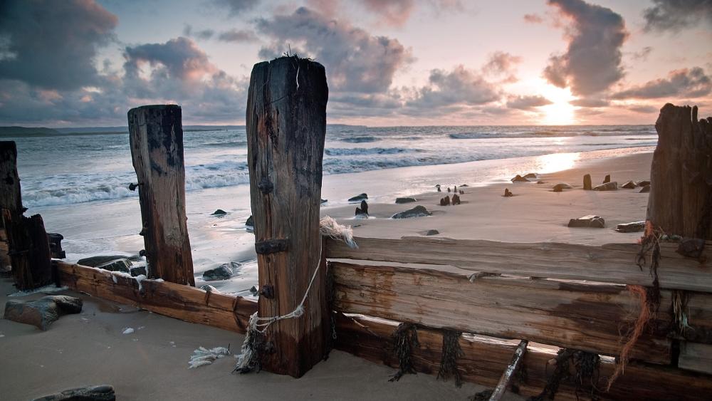 Ocean Serenity with Driftwood at Sunset wallpaper