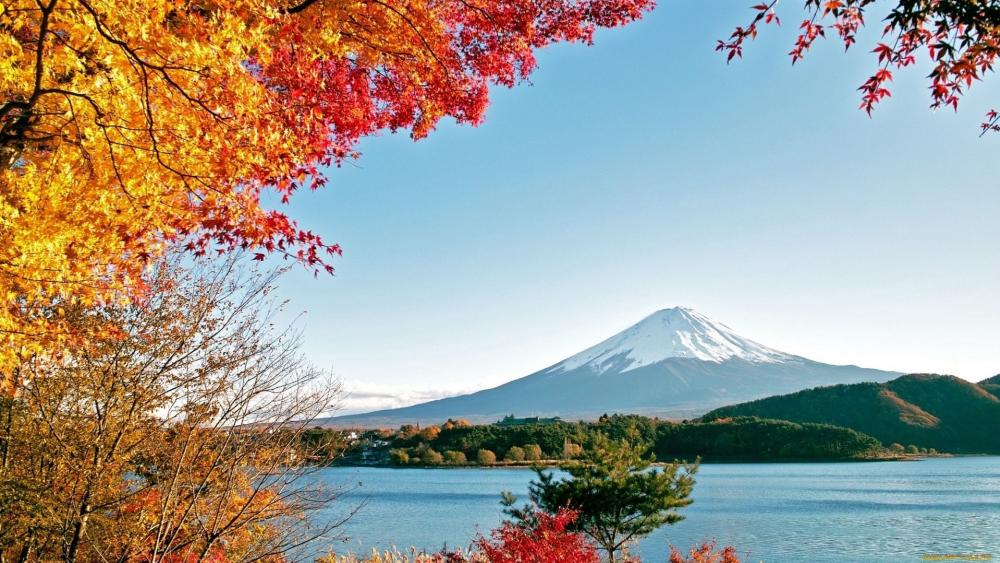 Mount Fuji in Autumn Splendor wallpaper