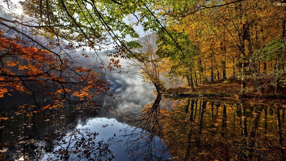 Autumn Serenity by the Lake wallpaper