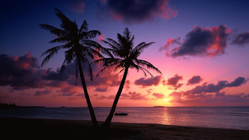 Tropical Sunset Serenity on the Beach wallpaper