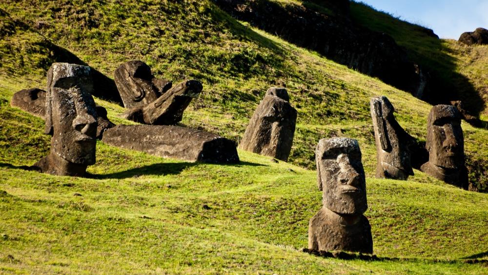 Moai Statues Amidst Lush Greenery on Easter Island wallpaper