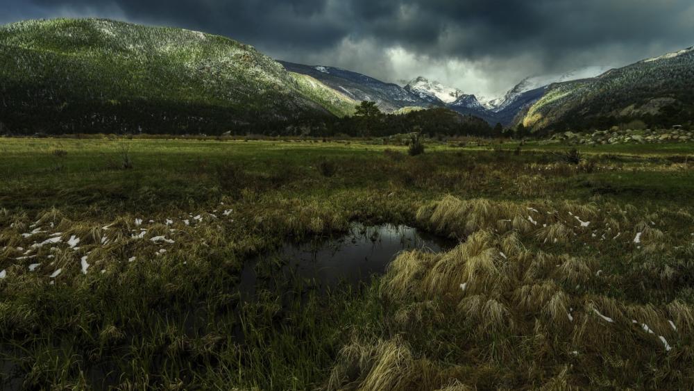 Valley Serenity with Lush Fields and Tranquil Pond wallpaper