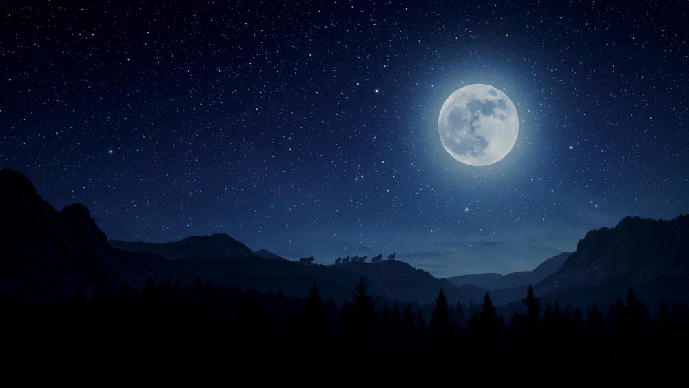 Moonlit Howls in a Starry Night Sky wallpaper