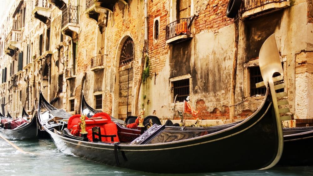 Venice's Timeless Gondolas on the Grand Canal wallpaper
