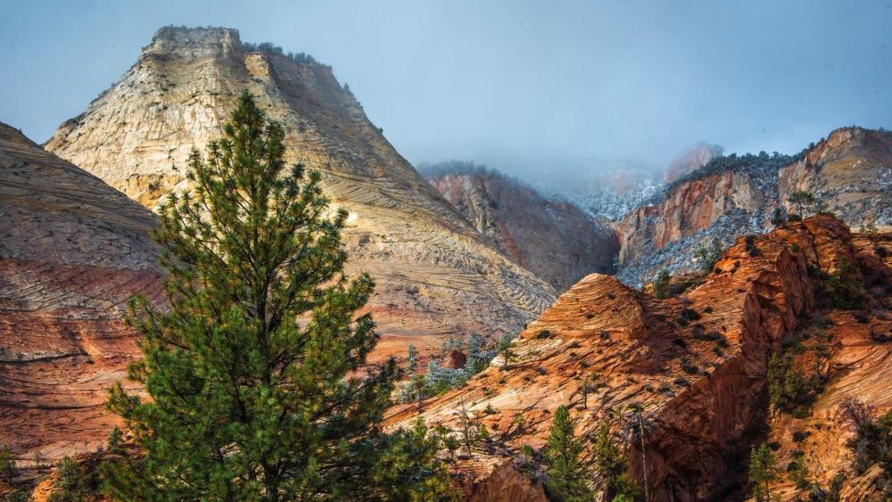 Majestic Peaks of Zion National Park wallpaper