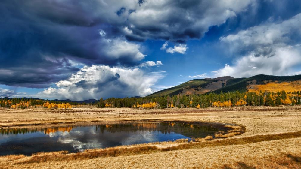Golden Reflections by the Lakeside Wilderness wallpaper