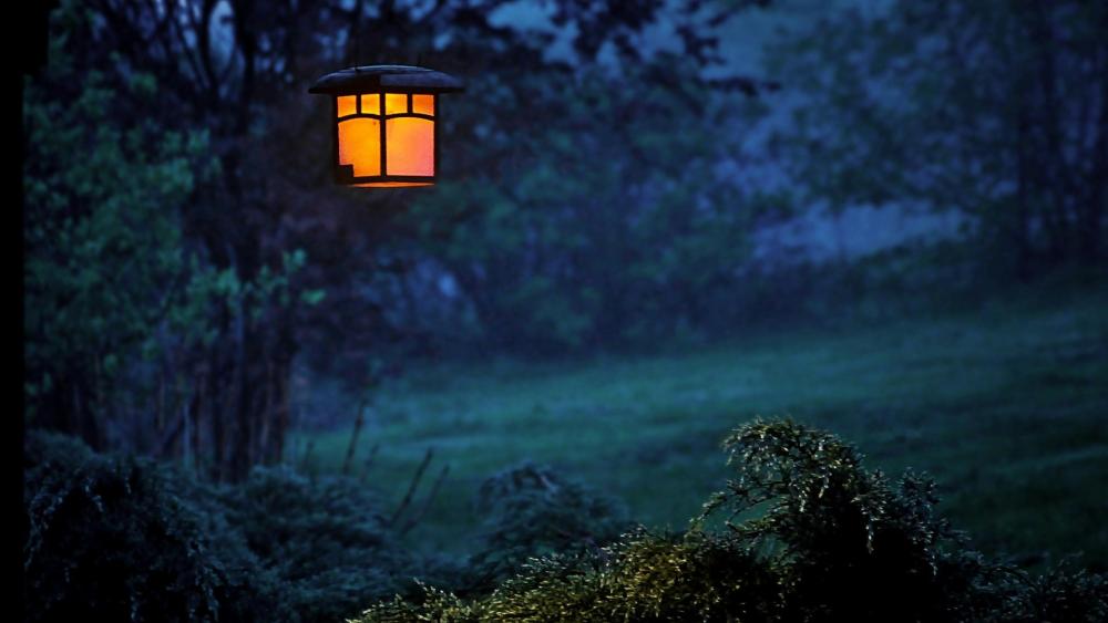 Warm Lantern Glow in a Misty Evening Garden wallpaper