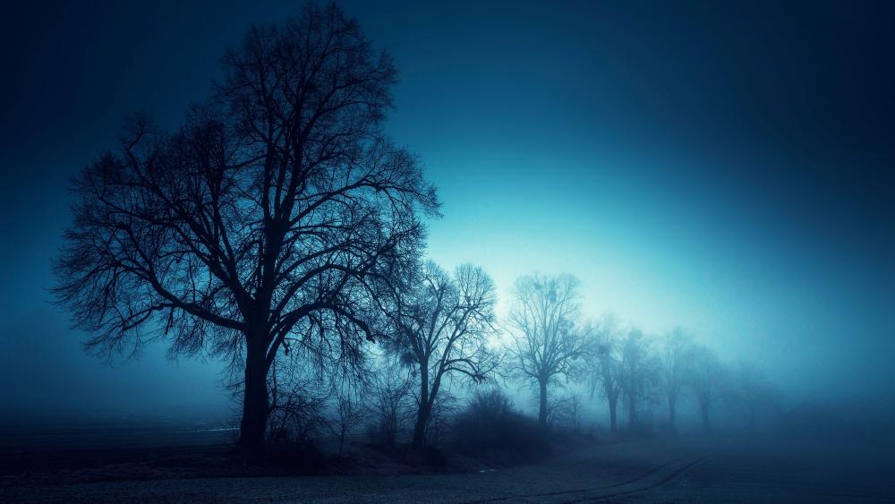 Eerie Nightscape in Blue Misty Forest wallpaper